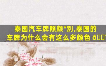 泰国汽车牌照颜*
别,泰国的车牌为什么会有这么多颜色 🐼